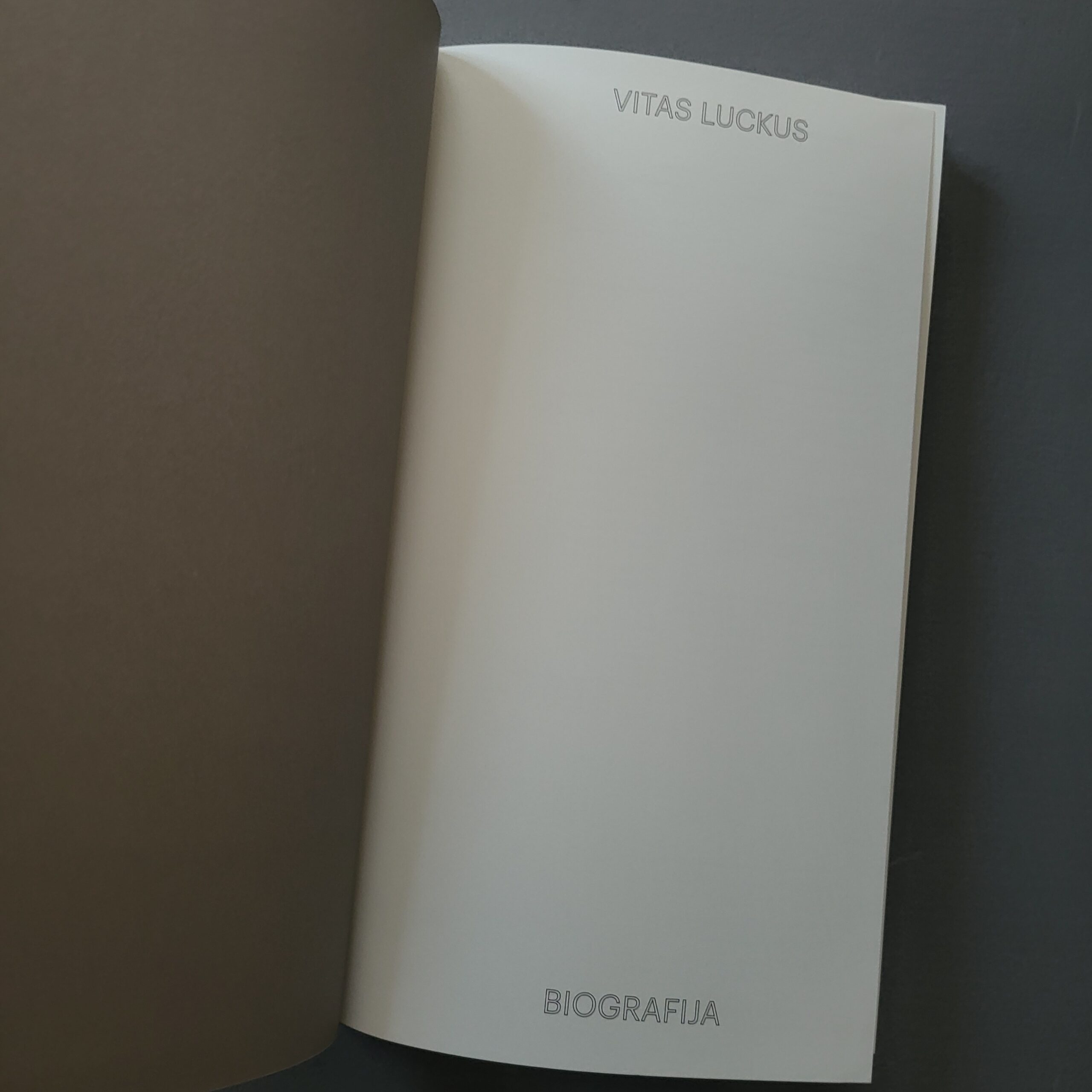 Vitas Luckus. Biografija. Margarita Matulytė, Tatjana Luckienė-Aldag (Apdovanotas Kolekcinis Meno Leidinys) - Image 6