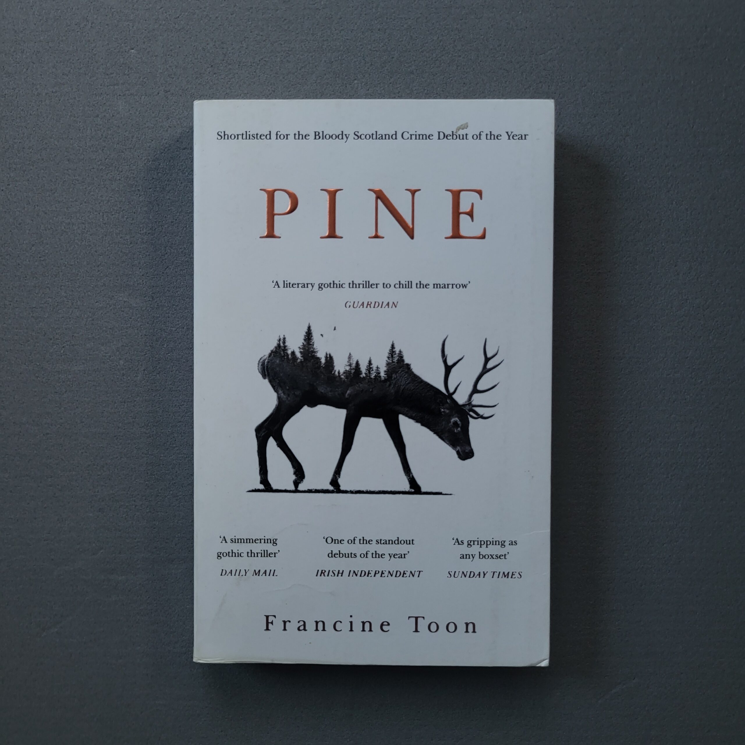 Pine – Francine Toon (Gotikinis folklorinis trileris)