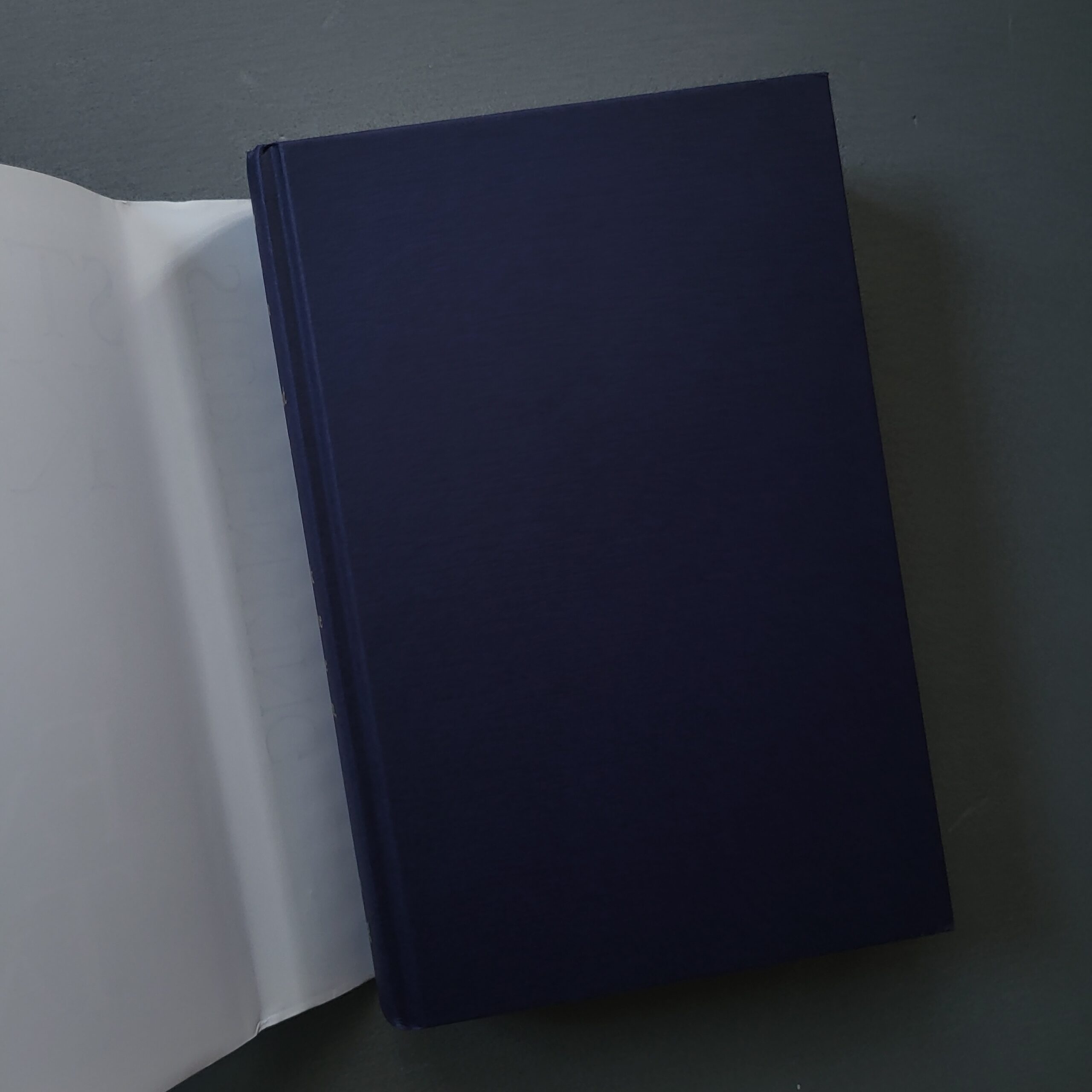 Fairy Tale / Stephen King (Kolekcinis Hardcover Leidimas) - Image 3