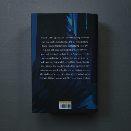 Fairy Tale / Stephen King (Kolekcinis Hardcover Leidimas)