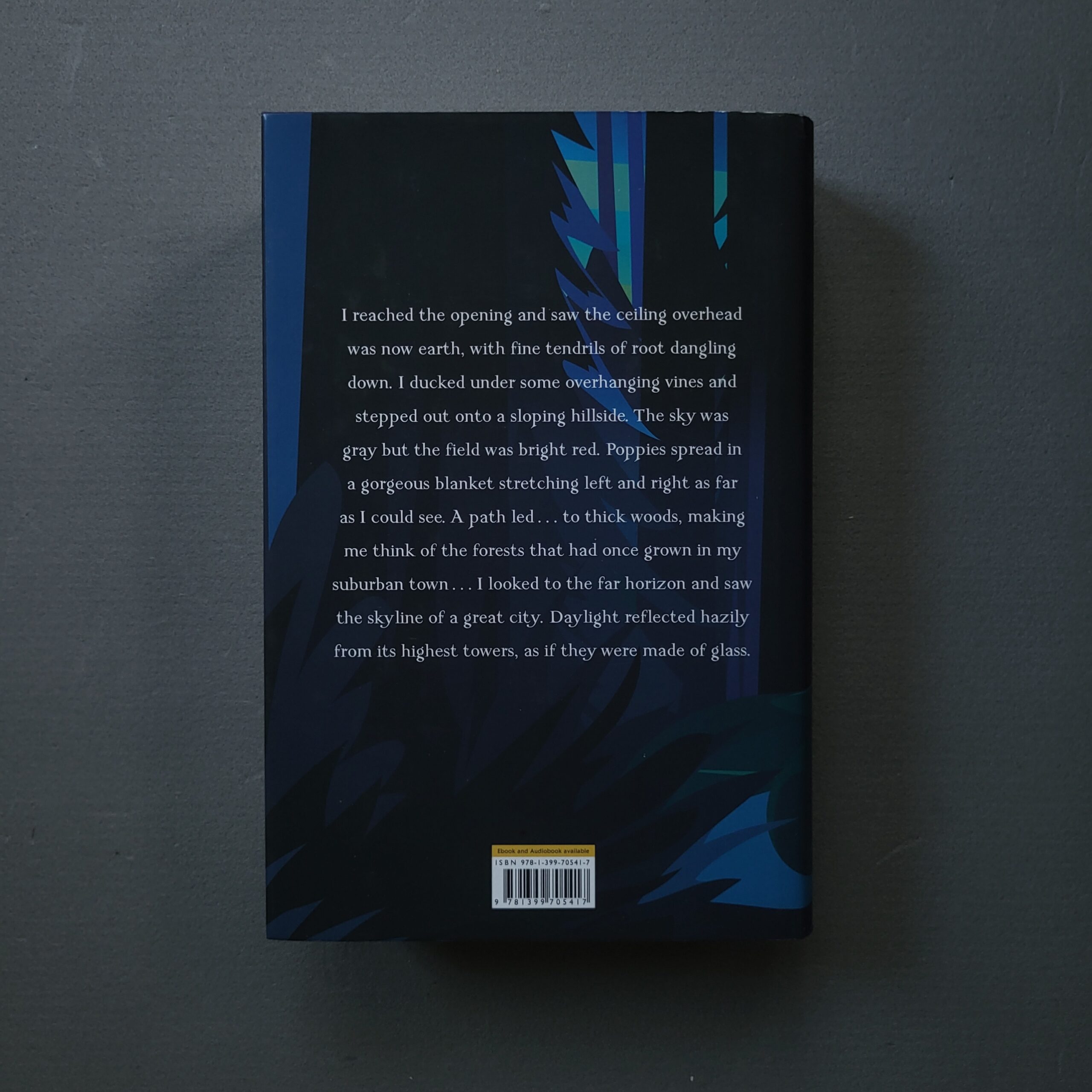 Fairy Tale / Stephen King (Kolekcinis Hardcover Leidimas) - Image 2