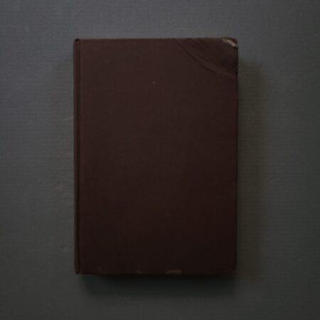 The English Patient / Michael Ondaatje