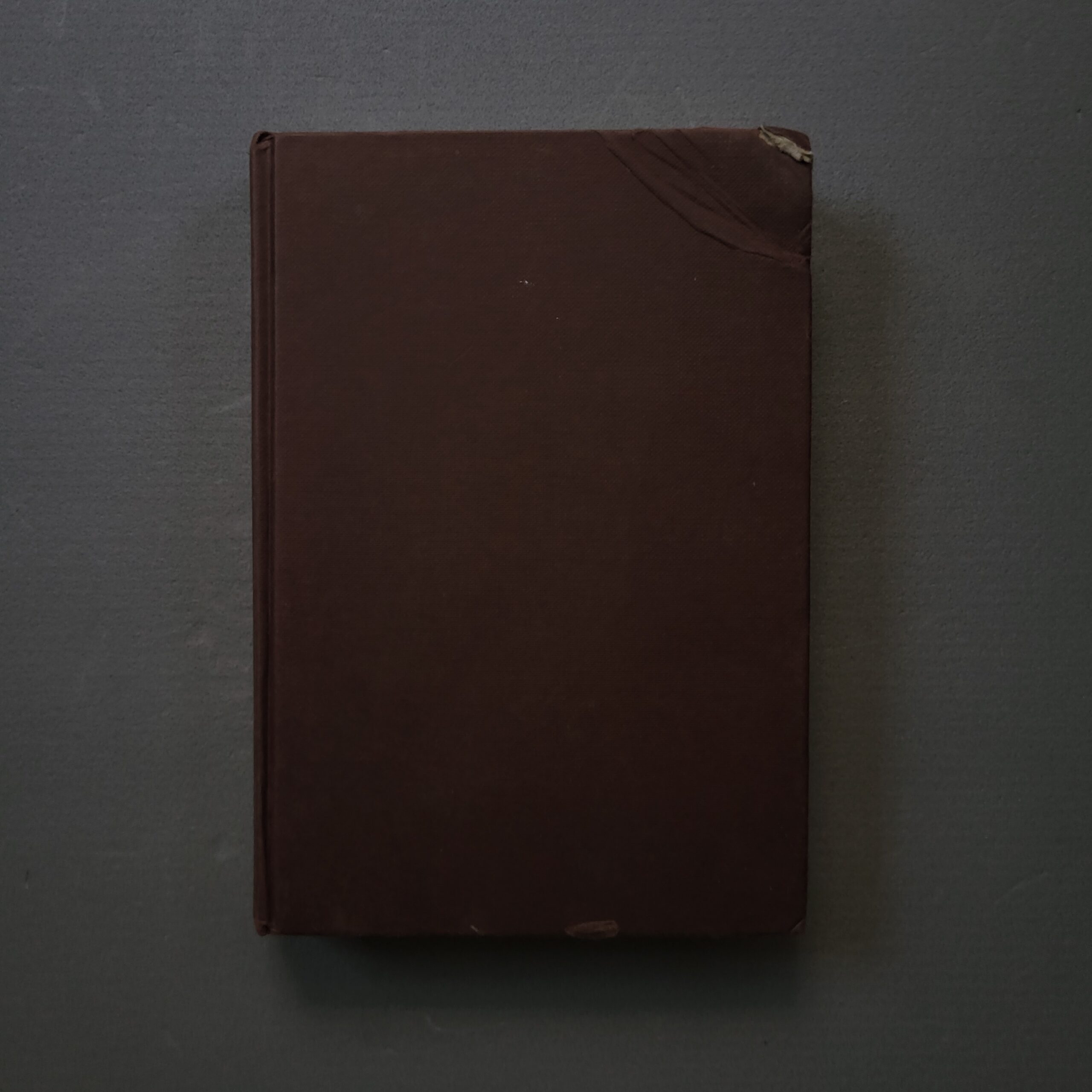 The English Patient / Michael Ondaatje - Image 2