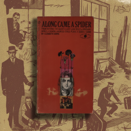Along Came a Spider / Elizabeth Davis